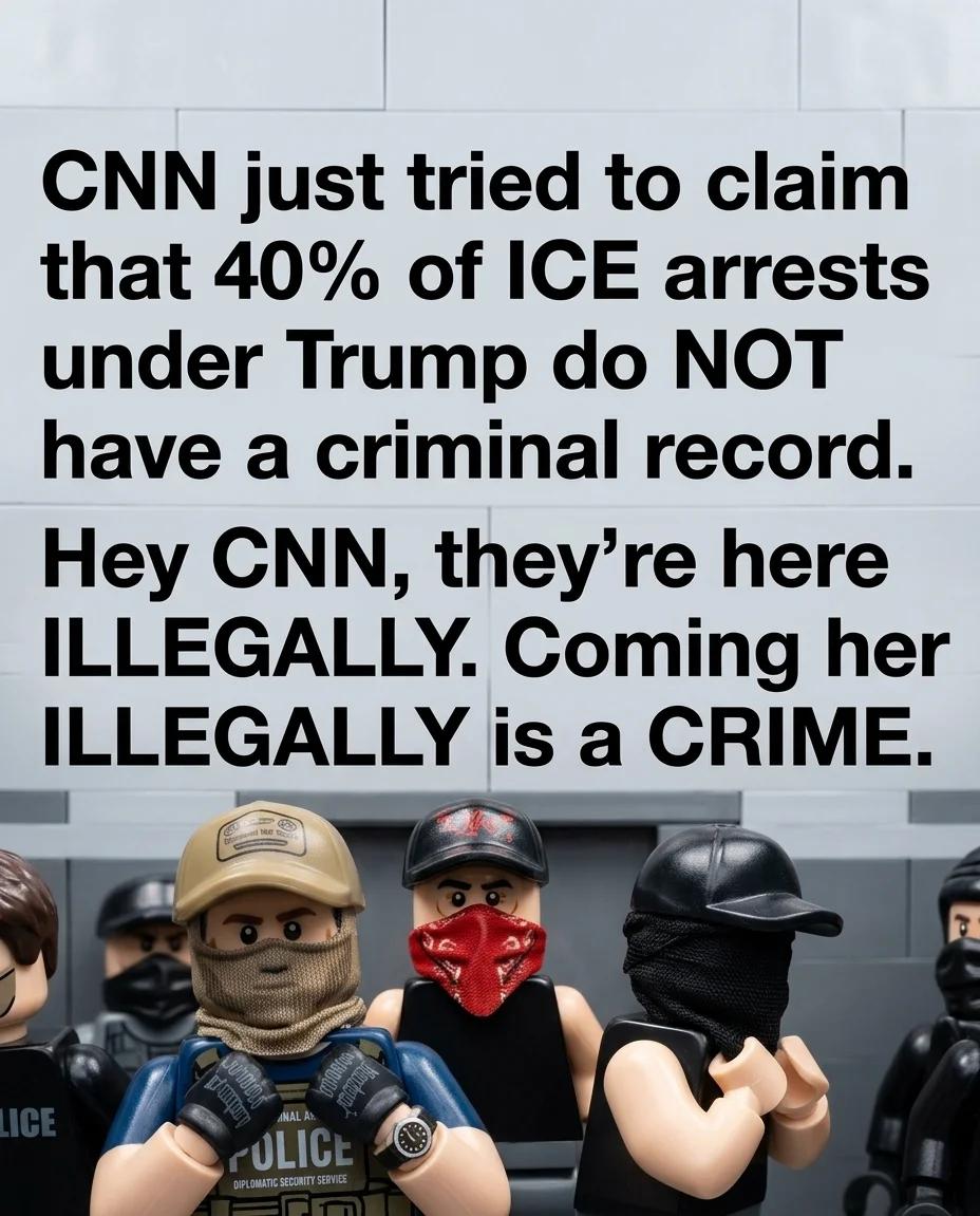 Coming Here Illegally Is a Crime (Brick Build)