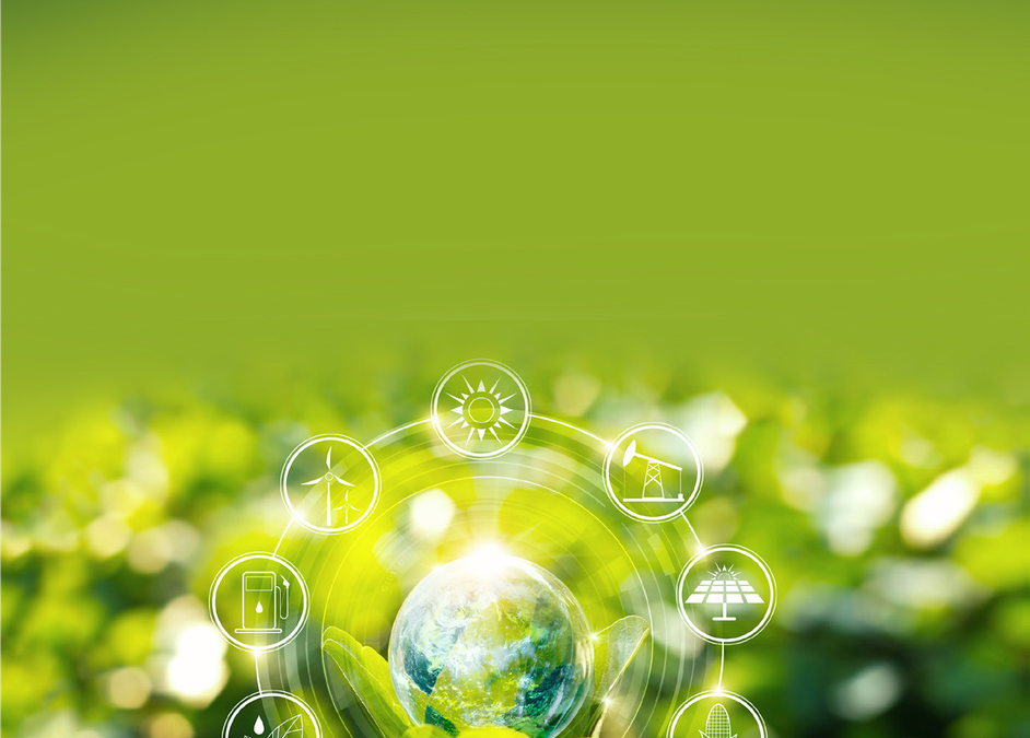 Sustainable Business Practices: How Going Green Can Boost Your Bottom Line