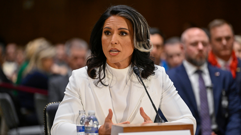 Top Senate Intelligence Dem grills Gabbard if Edward Snowden is ‘brave’: ‘Very troubling’