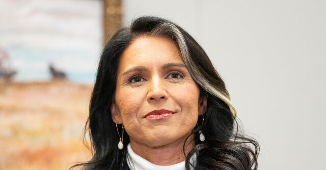 Exclusive — Tulsi Gabbard Identifies More than $20 Million a Year in Savings for Taxpayers in Ordering End to DEI, Stopping Useless Conference Travel