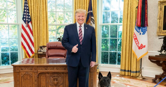 PHOTO: President Trump Honors America’s ‘Heroic’ Working Dogs on K-9 Veterans Day