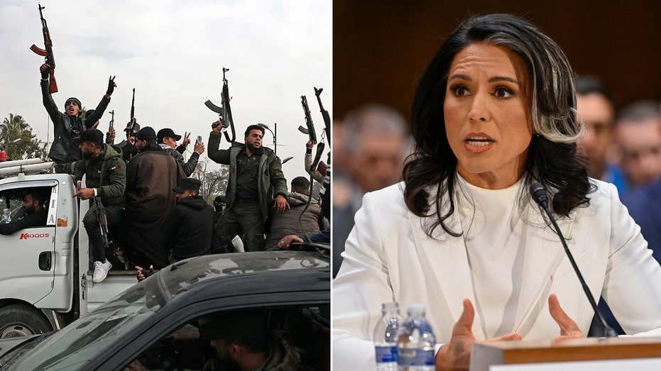 Tulsi Gabbard’s warning to Senate on Syria proves prophetic as Al Qaeda-linked regime slaughters minorities