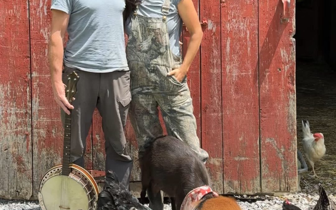 Couple bought a homestead for $390,000, spent $13,000 on DIY renovations: Their No. 1 takeaway after a year on the land