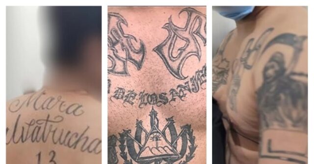 MS-13 Gang Members Stab Virginia Correctional Officers in Brutal Attack