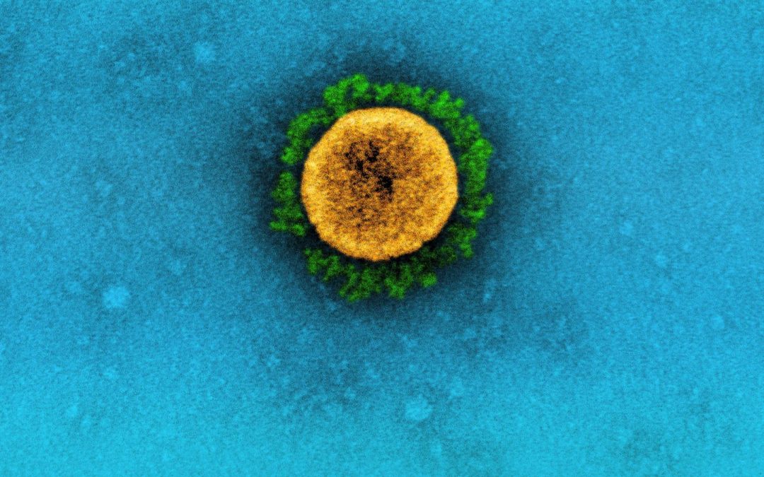 Why are more than 300 people in the US still dying from COVID every week?