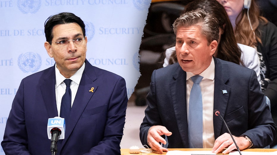 Israel turns tables on UN official claiming ‘genocide’ in Gaza with basic questions