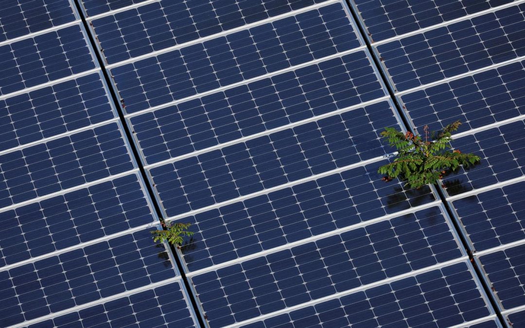 How the GOP tax bill could impact sustainability efforts