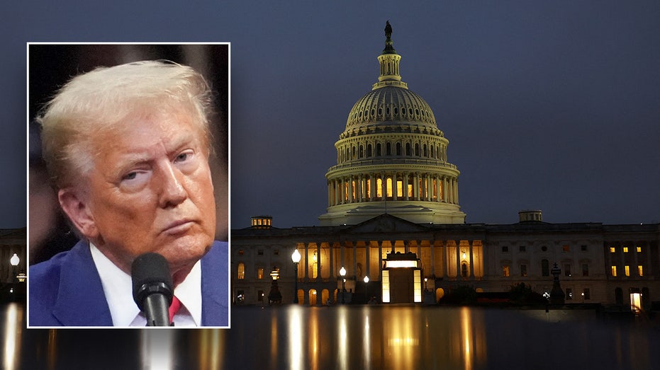 Budget office with ‘fundamentally progressive roots’ used by Dems as latest tool in anti-Trump resistance