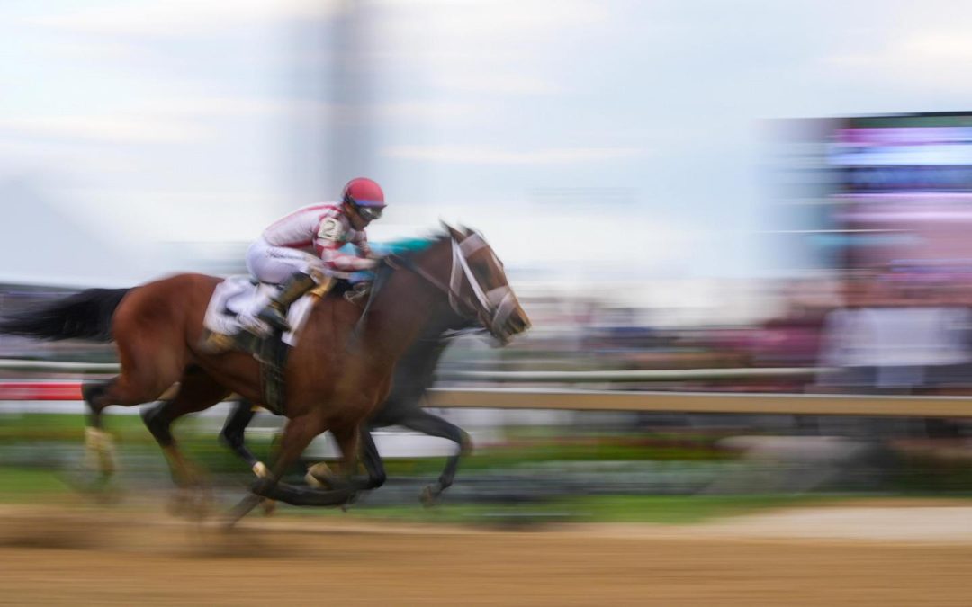 Journalism comes from behind to win the Preakness