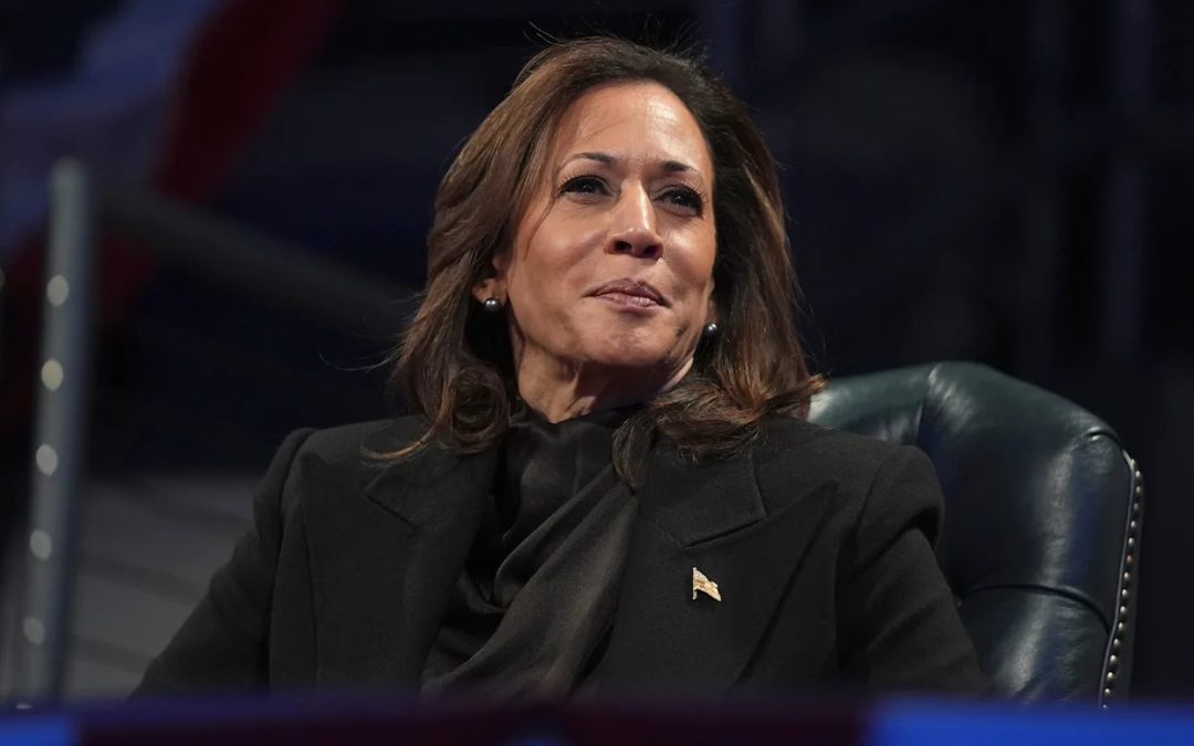2028 Dem frontrunner beating Kamala Harris has 0% Black support, poll finds
