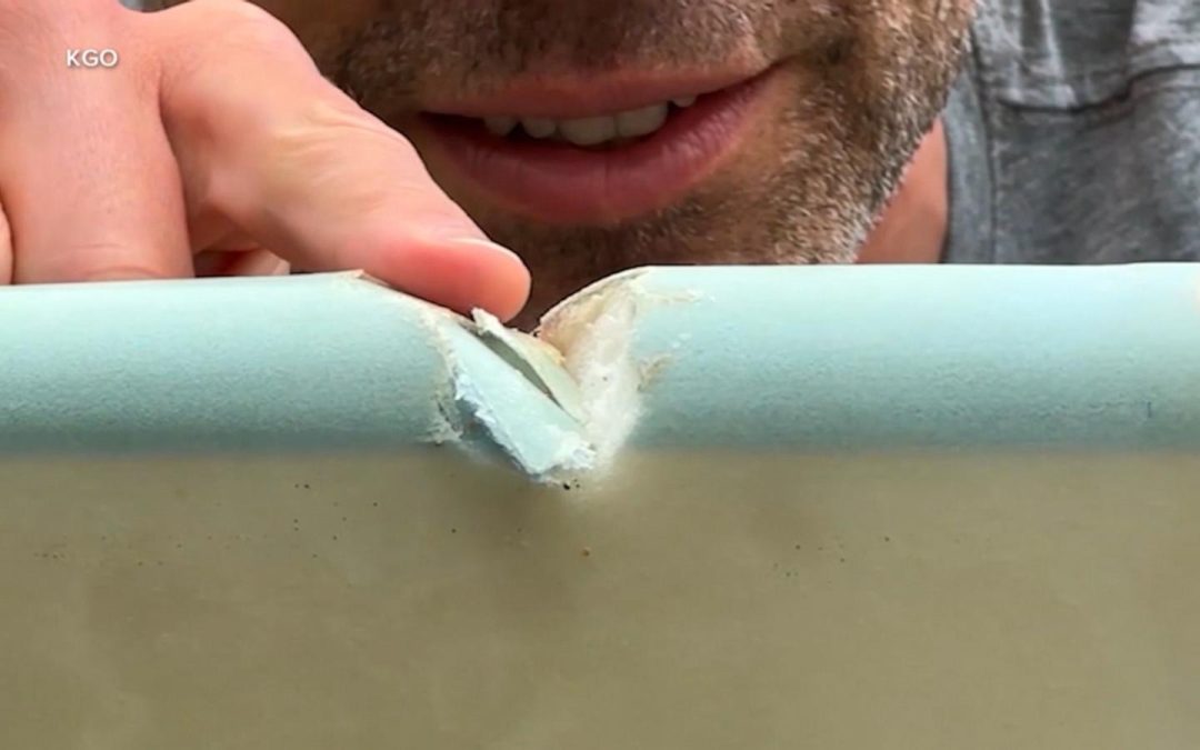 WATCH: Surfer describes close encounter with shark