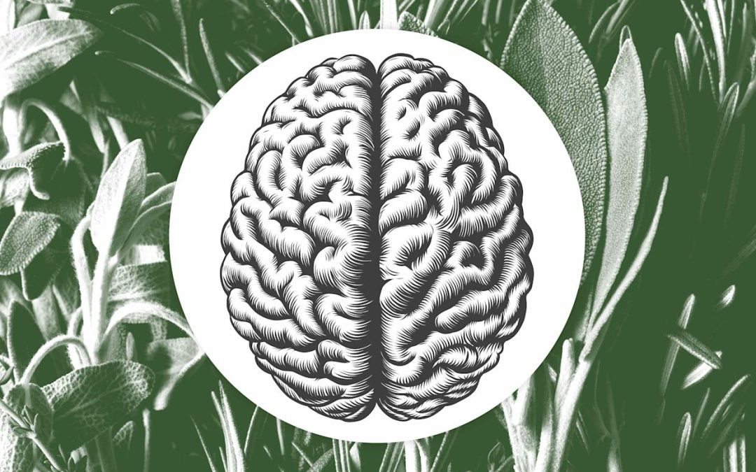 Your Favorite Herb Could Soon Become a Key Treatment for Alzheimer’s