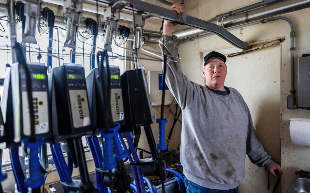 Wisconsin dairy farmer sues Trump administration claiming discrimination against white farmers