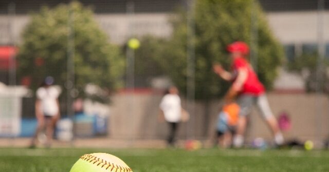 Trans Teen Pitches Complete Game, Leads School to First Ever Minnesota Softball Championships Appearance