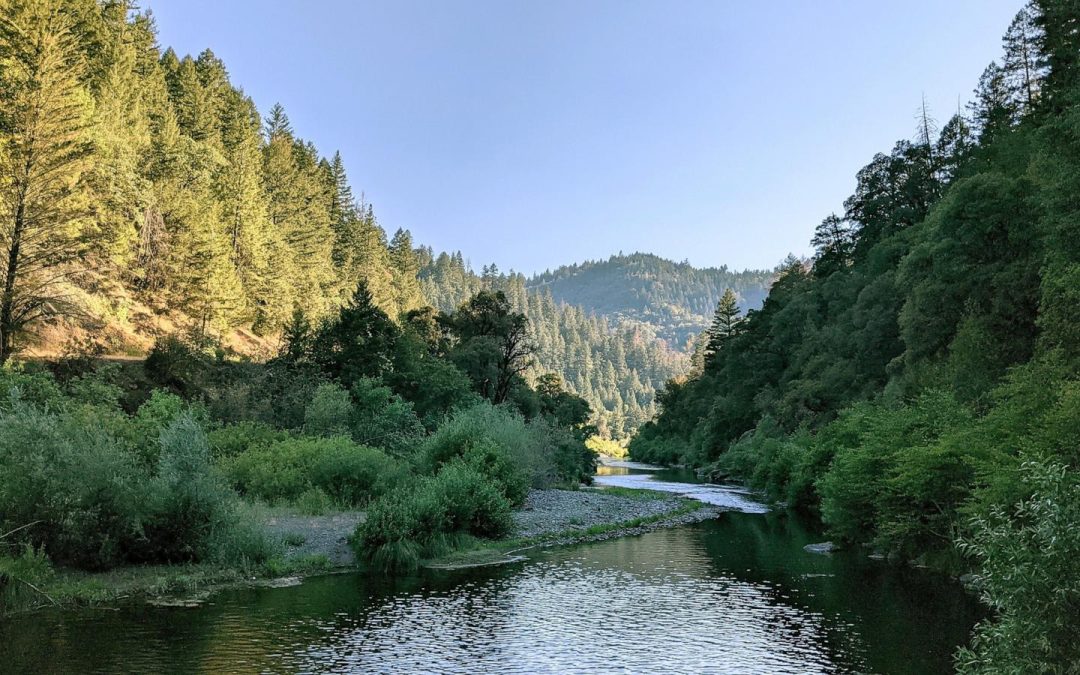 Senate considers Michael Boren to lead Forest Service, despite clashing with agency