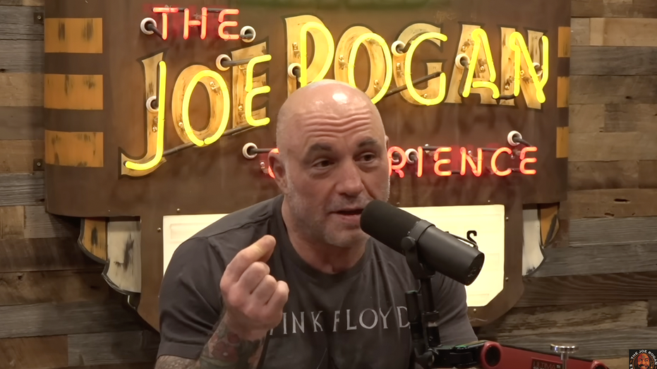 Rogan reacts live to Elon’s ‘crazy’ Epstein accusation against Trump while interviewing FBI director