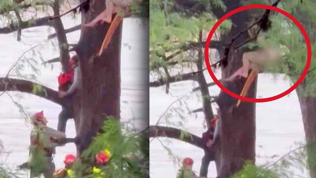 Haunting Video Shows Woman Clinging for Life During Texas Flood