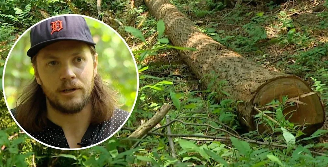 Washington county suing homeowners for $7M after allegedly felling 142 protected trees to score better views