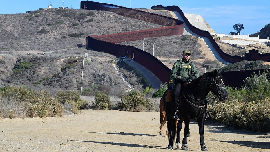 Border Patrol union chief blasts anti-masking proposal: ‘Tone deaf politics’