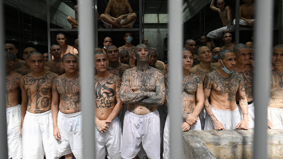 ICE swoops in on MS-13 kingpin hiding in America’s heartland after investigation