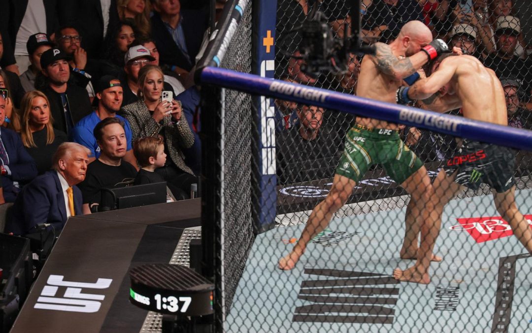 Trump wants White House UFC fight for US 250th birthday