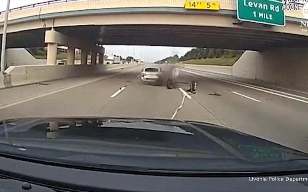 WATCH:  Police use grappler device to stop stolen car suspect on Michigan highway