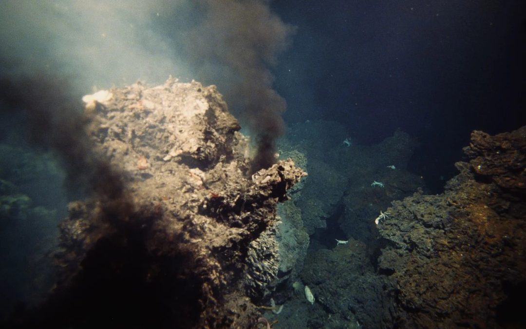 Scientists Found an Undersea Metropolis That Dwarfs the Atlantic’s ‘Lost City’