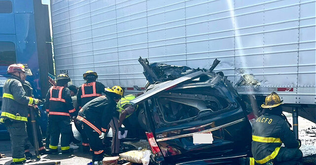 FL Officials: Illegal Alien Trucker from India Received CDL from California Before Killing 3 Americans