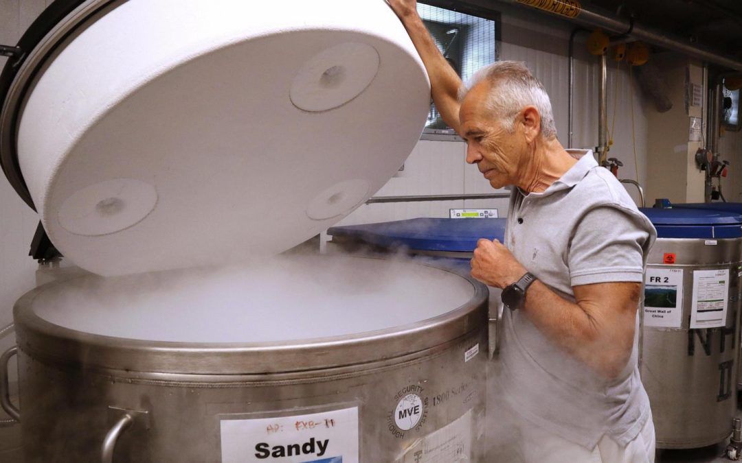 Harvard scientists say research could be set back years after funding freeze