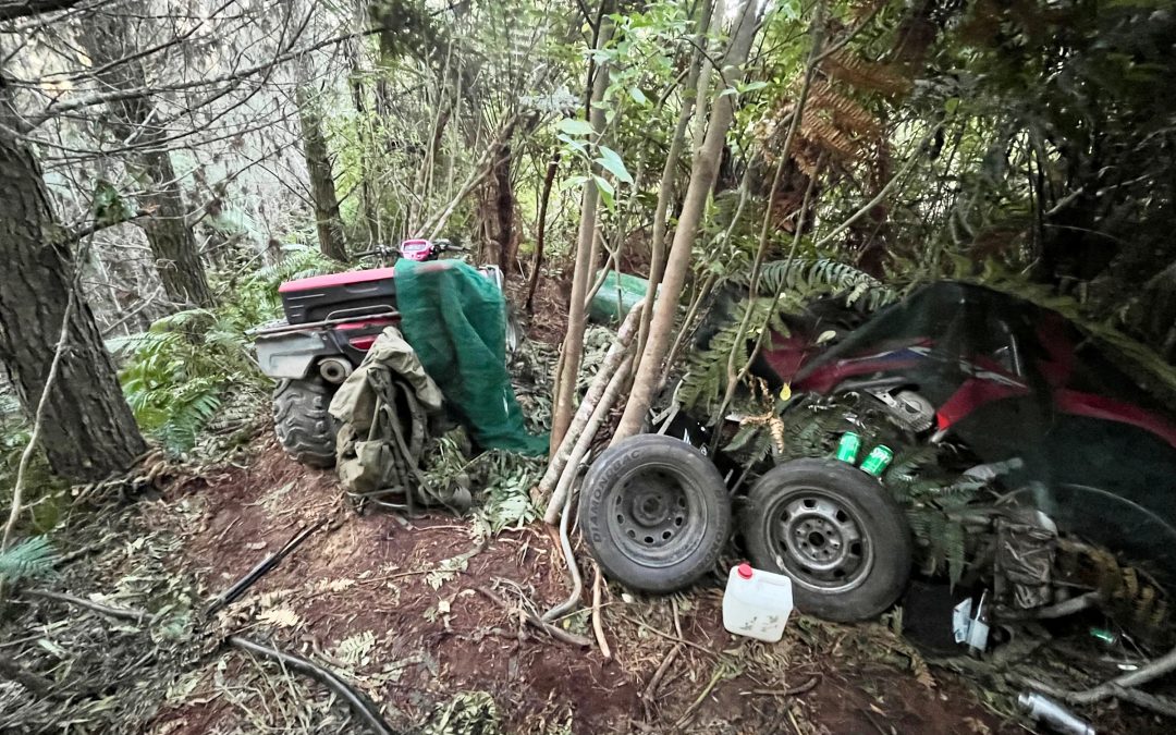 New Zealand police investigate how a man hid his 3 children in a forest for years without discovery