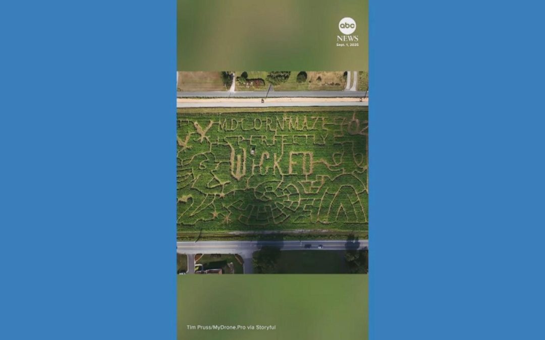 WATCH: Maryland corn maze pays tribute to ‘Wicked’