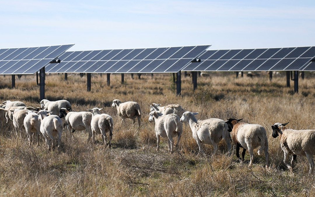 Protecting America’s outdoors is patriotic — but radical activism gets in the way