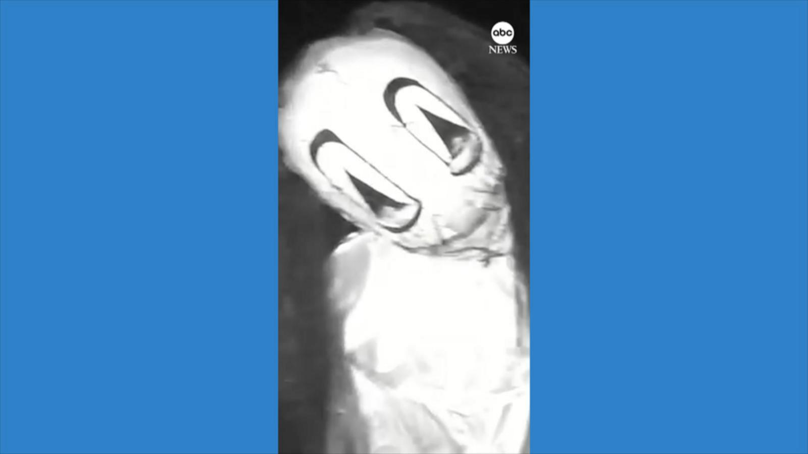 WATCH:  Halloween-masked individuals caught on camera before alleged home invasion