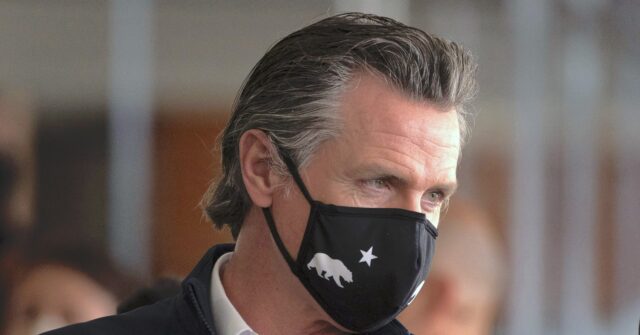 Shock: Gavin Newsom Hints at Presidential Run