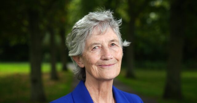 Socialist Catherine Connolly Wins Irish Presidential Election But Historic Spoiled Ballot Campaign Raises Questions of Legitimacy