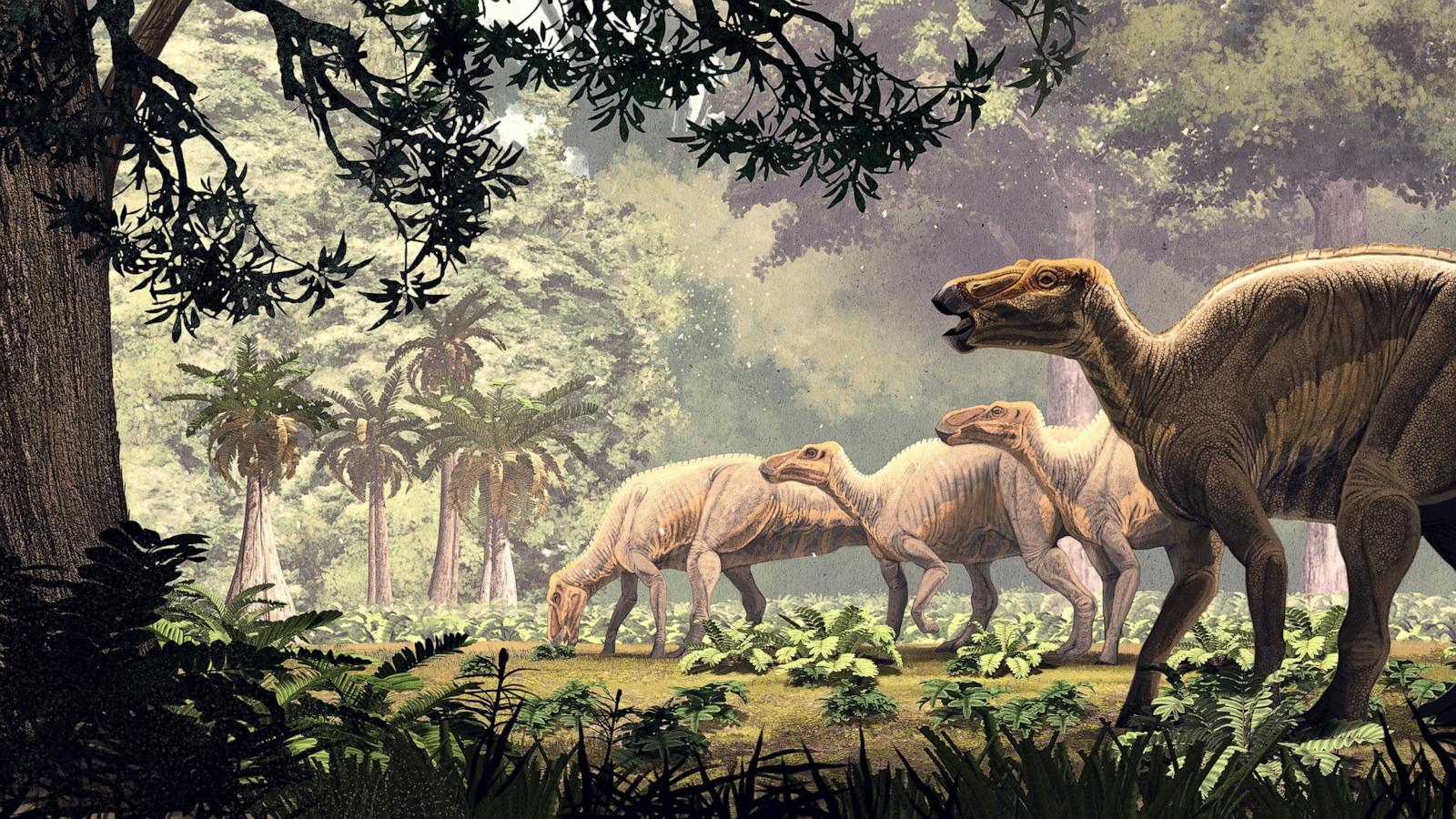 ‘Stunningly preserved’ dinosaur ‘mummies’ discovered in Wyoming have skin and hooves