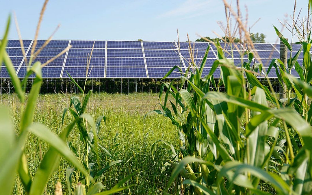 The disturbing connection between UN’s green energy push and illegal immigration