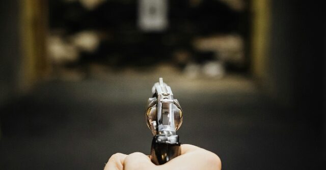 Alleged Intruder Dead After Home Occupant Opens Fire