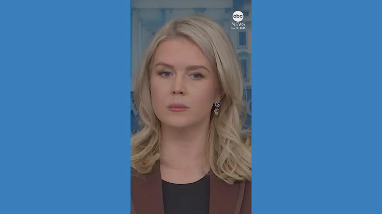 WATCH: WH press sec. Leavitt: Epstein emails prove Trump ‘did nothing wrong’