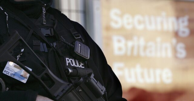 UK1984: British Businessman Arrested over LinkedIn Picture of Himself Holding Gun in Florida