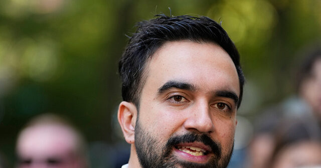 Exclusive — Veteran Democratic Operative: Mamdani, Radical DSA Seized Democratic Party ‘Carcass’