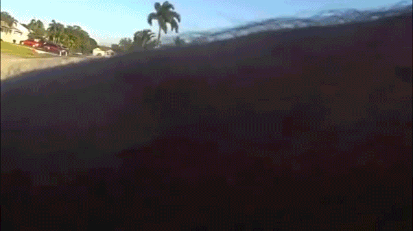 WATCH: Teen arrested after alleged wild shovel attack on police cruiser in ritzy Florida neighborhood