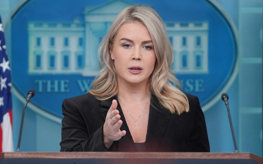 ICE arrests woman with family connection to WH  press secretary Karoline Leavitt