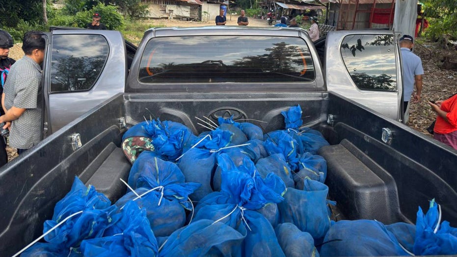 Two men caught with 81 monkeys stuffed in bags and meth in wildlife smuggling ring, authorities say