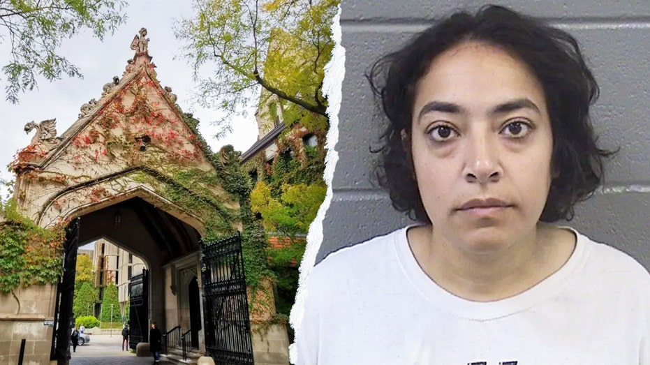 UChicago silent on anti-ICE professor’s employment status month after rally arrest on violent felonies