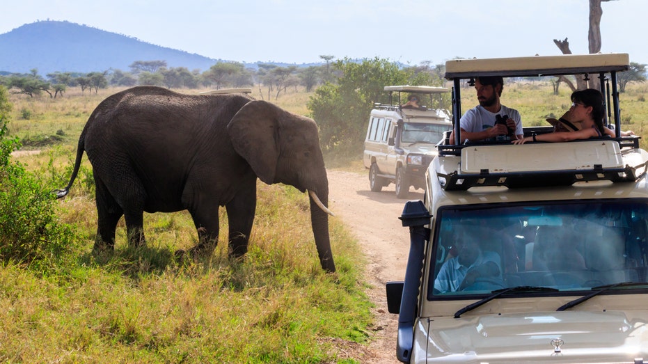 Urgent advisory for safari destination warns of ‘terrorist violence’ and risk of ‘unrest’