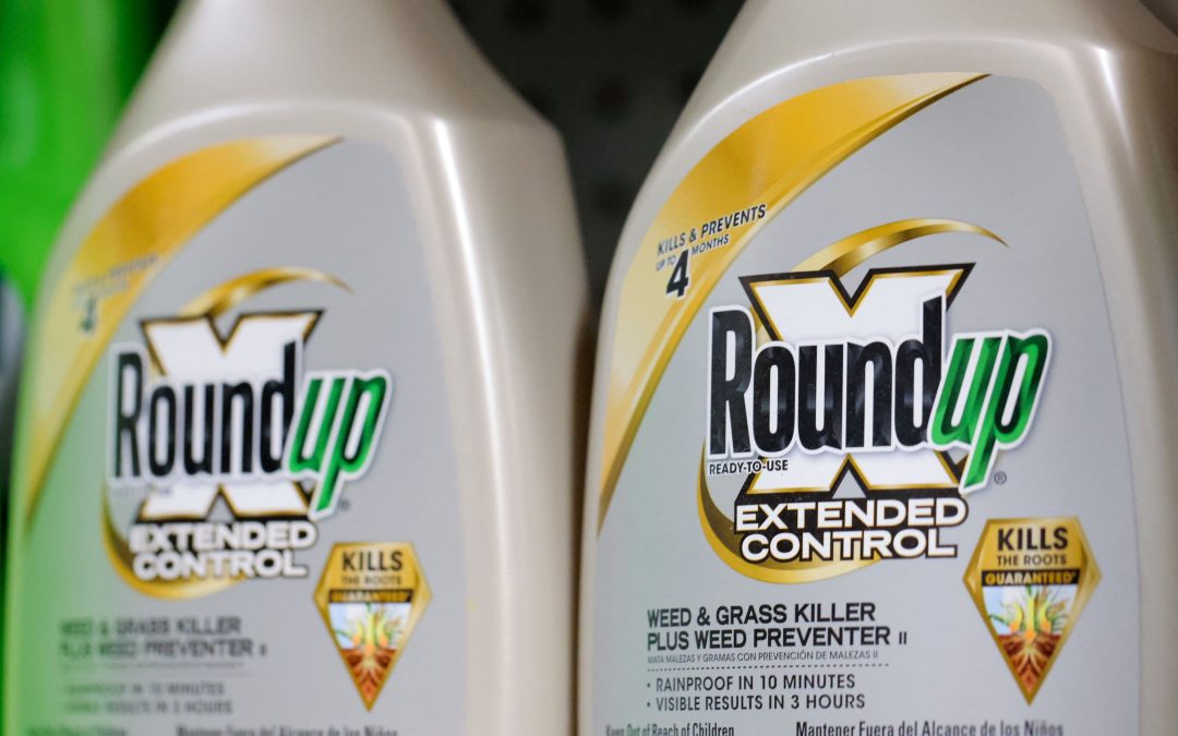 Bayer shares pop 12% after Trump administration backs curbing of Roundup lawsuits; European stocks close higher