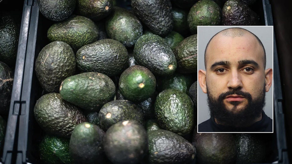 Florida man allegedly steals 400 pounds of avocados to buy Christmas presents for children