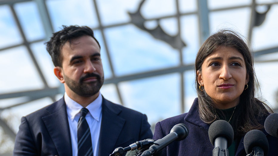 Top Mamdani appointee faces heat amid promise to make NYC more affordable: ‘Embodiment of inflation’