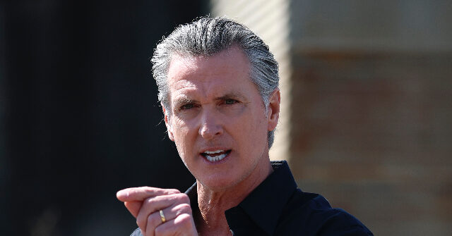 Gavin Newsom Lashes Out After Halle Berry Saying He ‘Should Not Be the Next President’